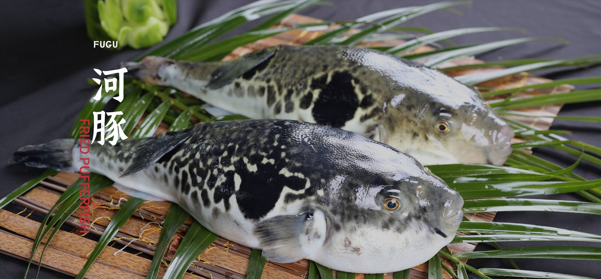 �������֡�(�й���)���޹�˾����